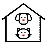 Pet Insurance
